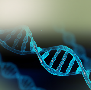 DNA double helix illustration